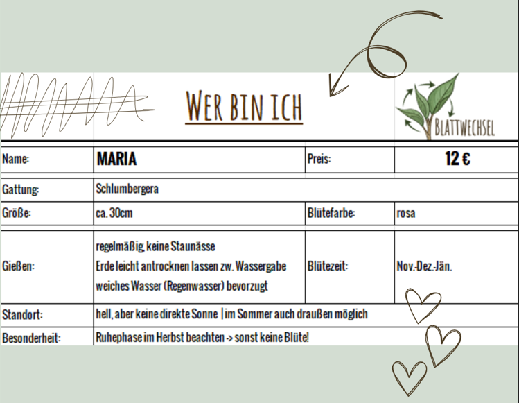wer-bin-ich